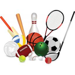 multi-sports.jpg